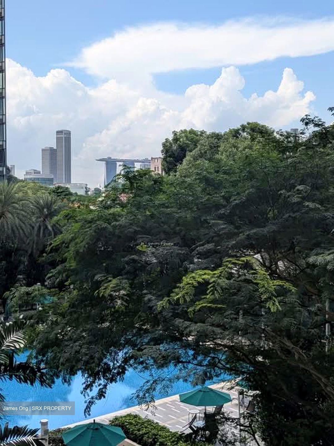 Cairnhill Crest (D9), Condominium #586144311